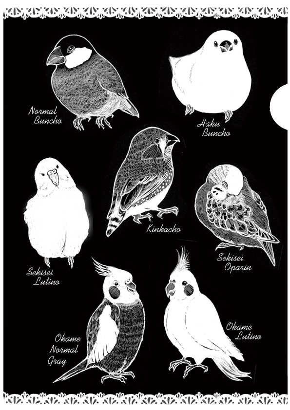 クリアファイル　インコ・フィンチ