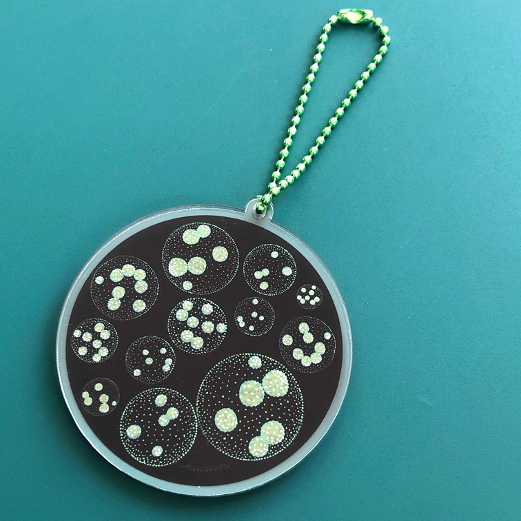 植物プランクトン グッズセット 花彩里 Hanairori Booth