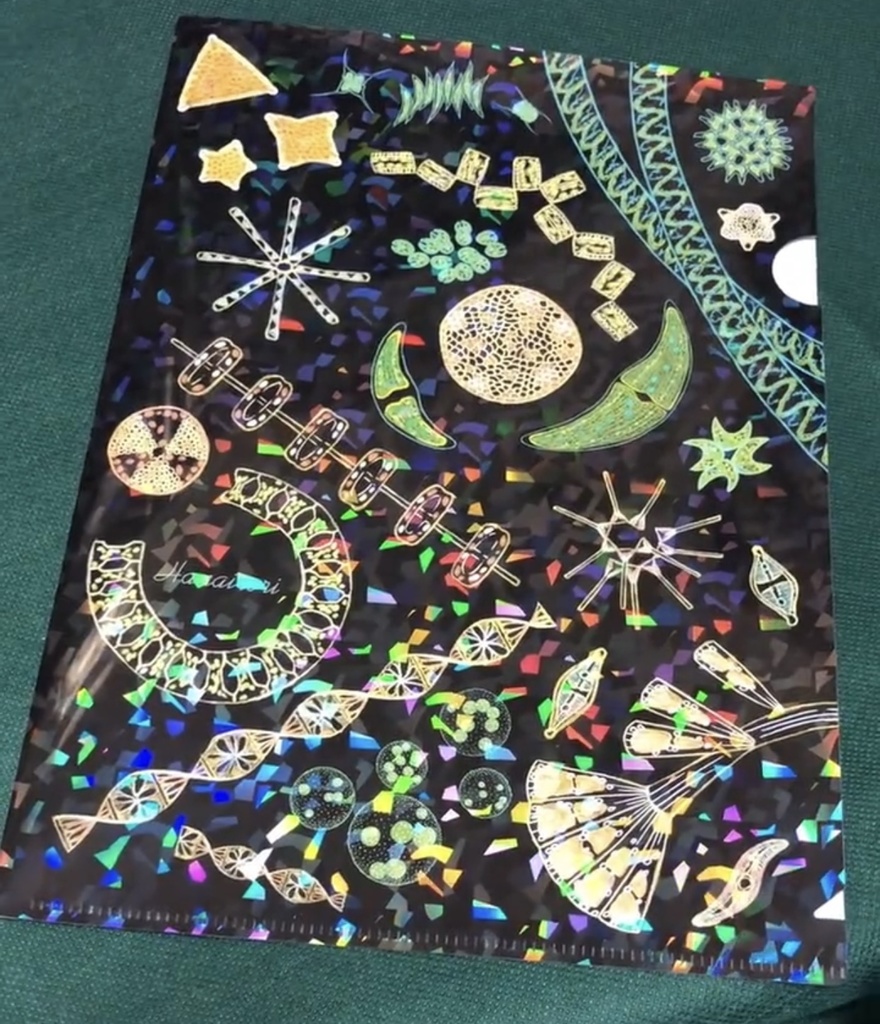 A4クリアファイル 植物プランクトン