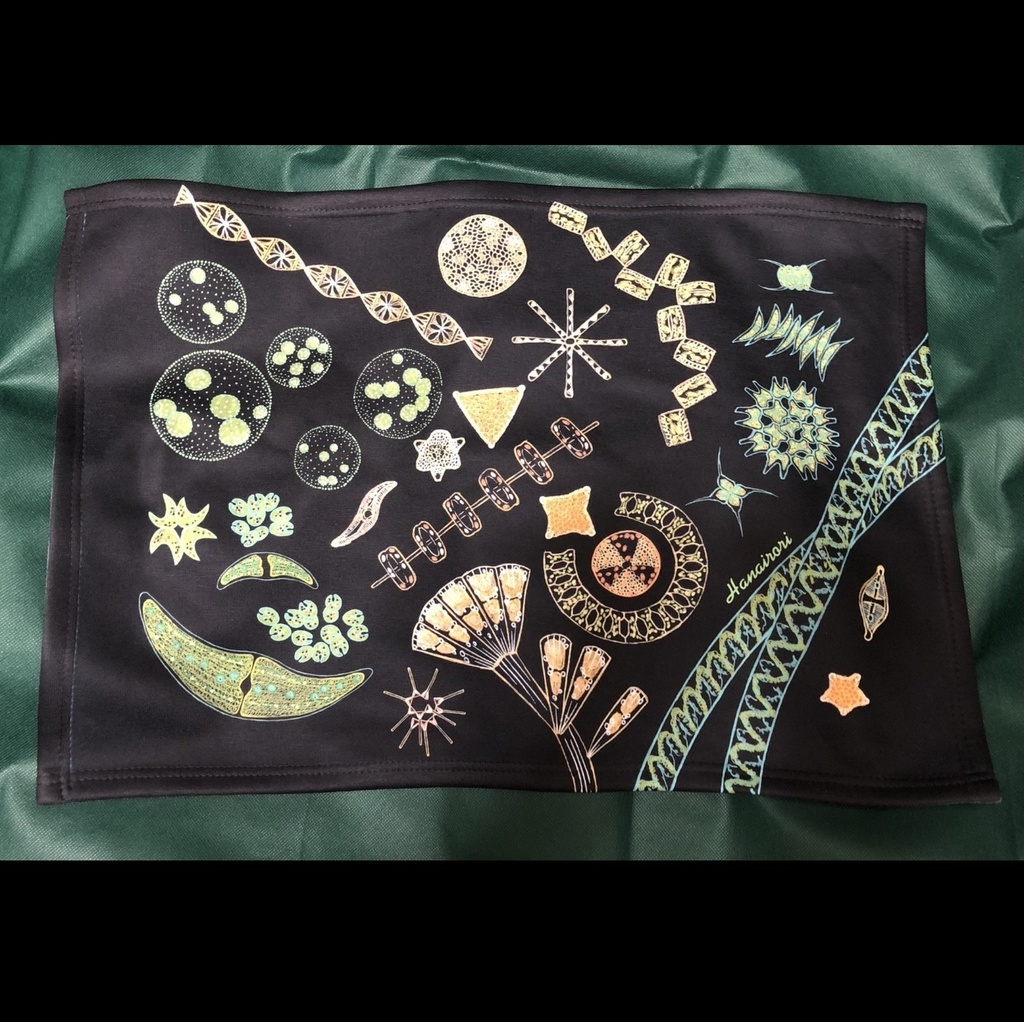 ブランケット 植物プランクトン