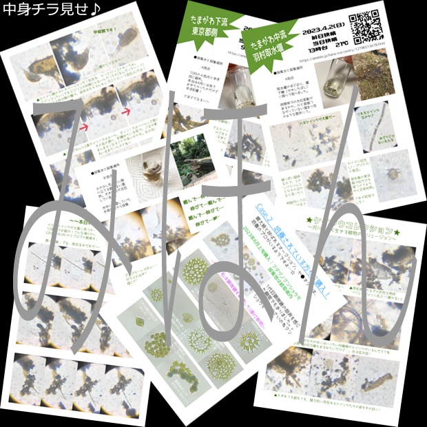 冊子『趣味はプランクトン観察です。』vol.1《残部少》