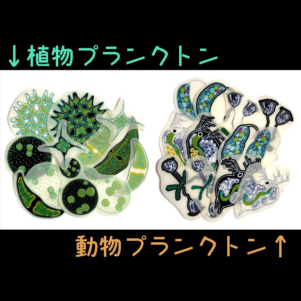 フレークシール プランクトン《動物のみ》