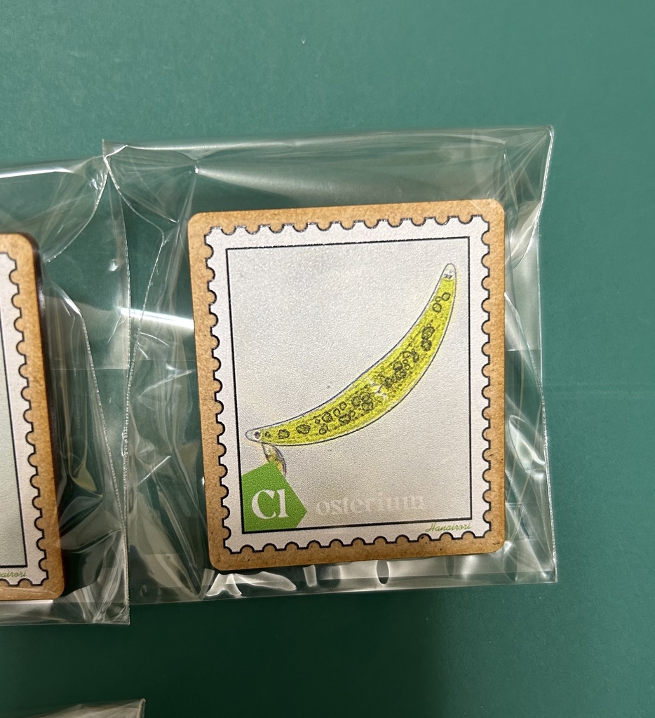 木製バッジ 切手型プランクトン