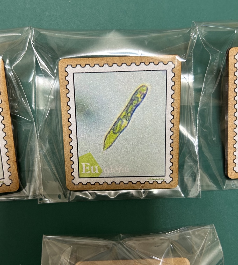 木製バッジ 切手型プランクトン