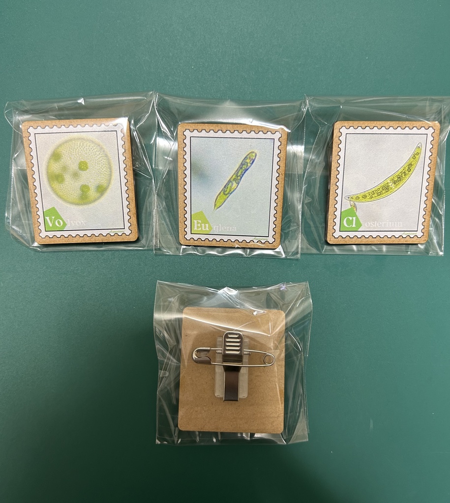 木製バッジ 切手型プランクトン