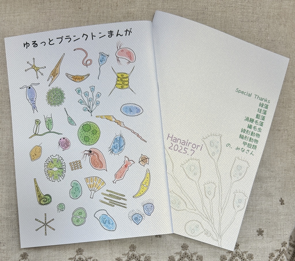 ゆるっとプランクトンまんが