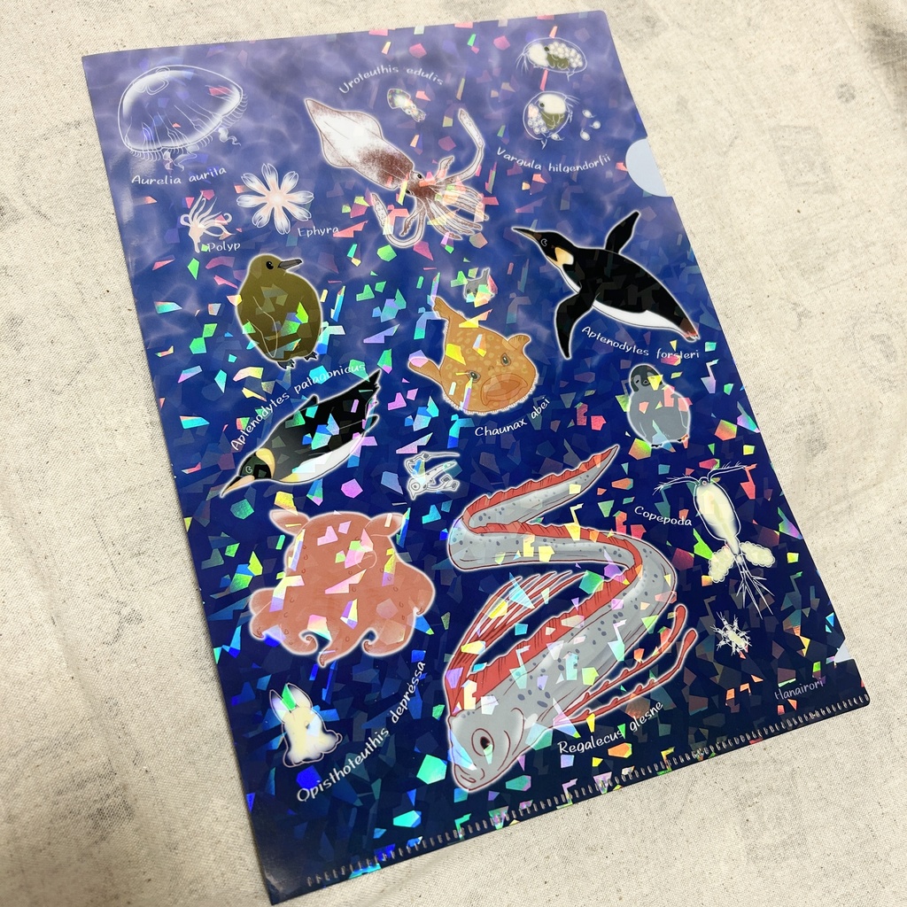 A4クリアファイル 海のいきもの