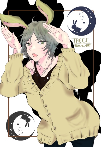 ポストカード わんだーらんどシリーズ