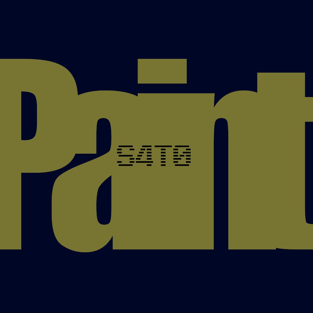 S4T0 - Paint