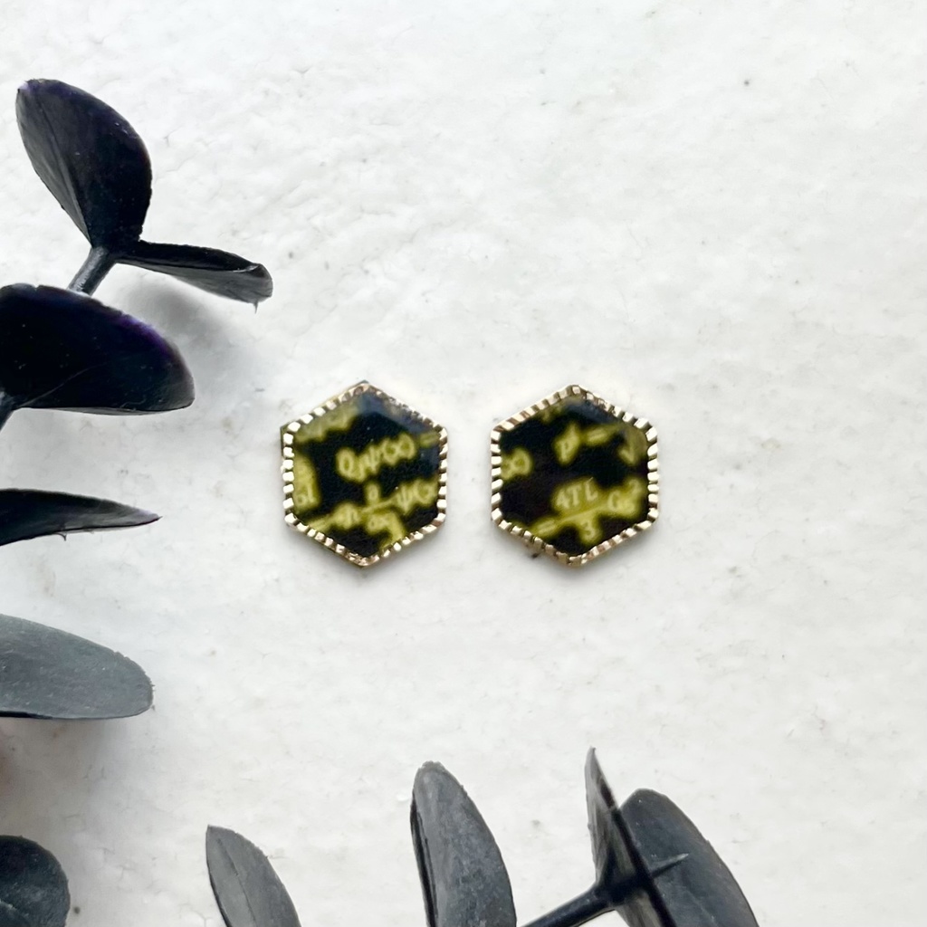 アグネスタキオン(固有演出)イメージイヤリング 六角形 メンズにも!