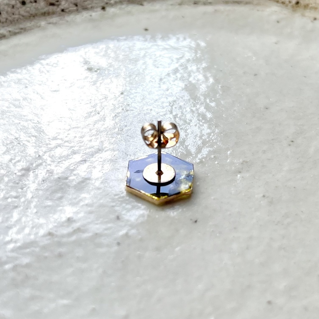 アグネスタキオン(固有演出)イメージピアス 六角形 メンズにも!