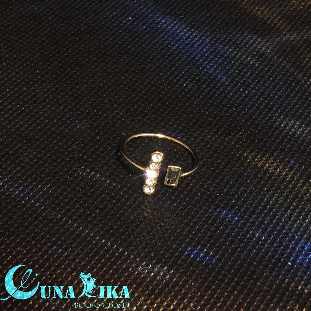 白鳥座(銀河鉄道の夜)🌙