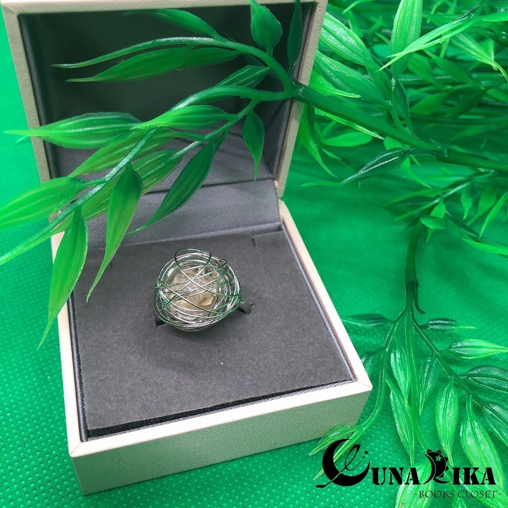 蜜(竹取物語) ☀️