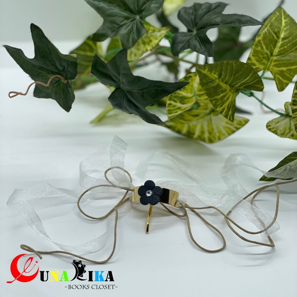 老(ブレーメンの音楽隊)☀️