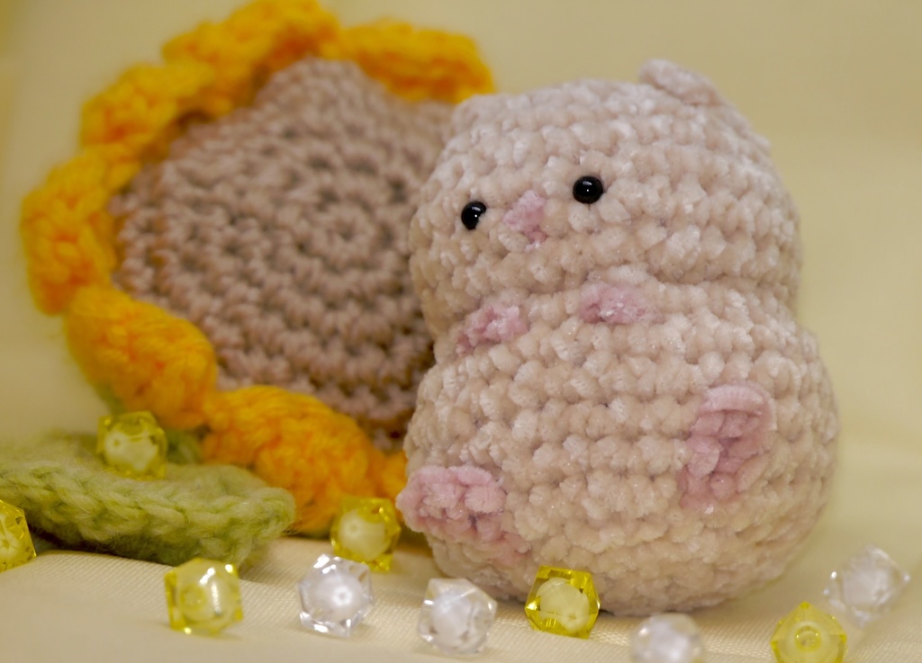 もちもちはむちゃん