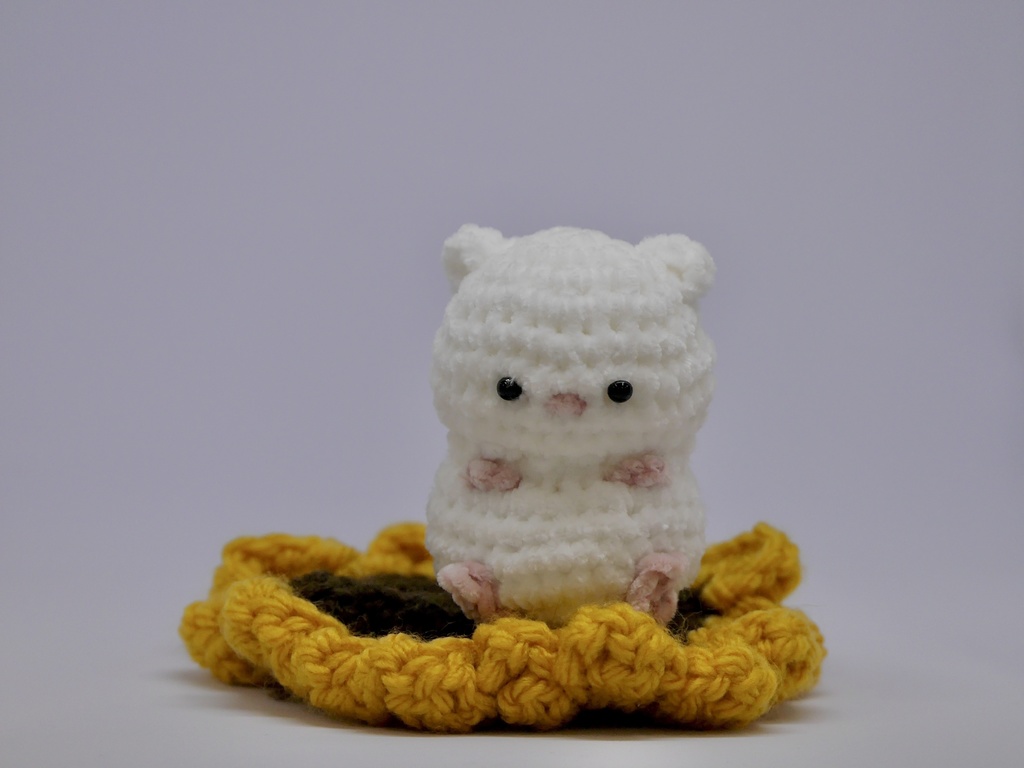 もちもちはむちゃん