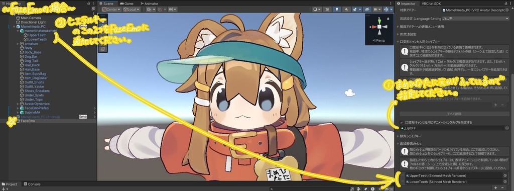 まめひなたの犬歯