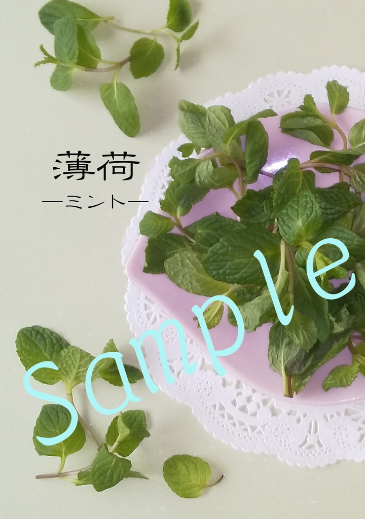薄荷　―ミント―