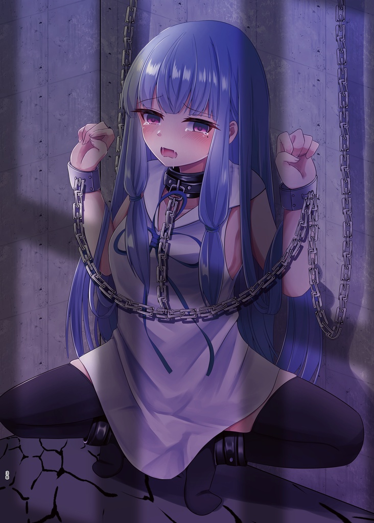 合成首輪合同誌(声音の宴3次会合同誌新刊)