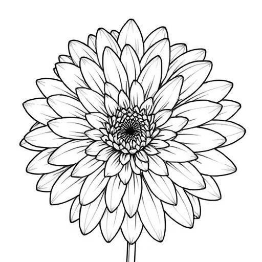 華やかな莨菪花の塗り絵｜大輪の花を自由に彩ろう