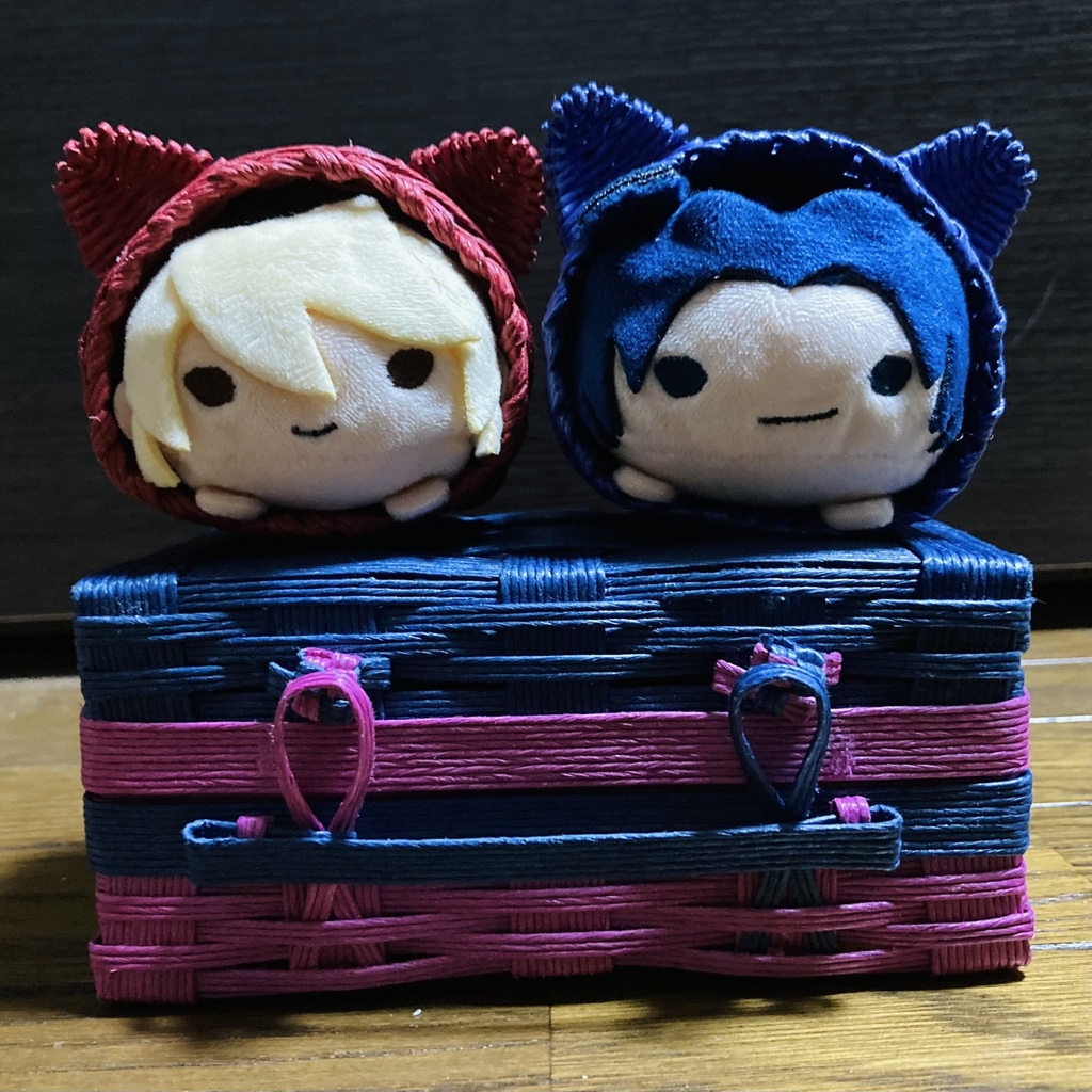 のるキャラ用、猫カゴ