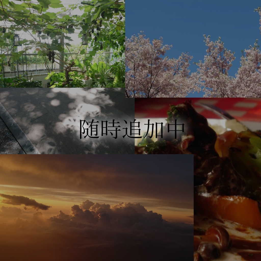 【素材】写真素材置き場