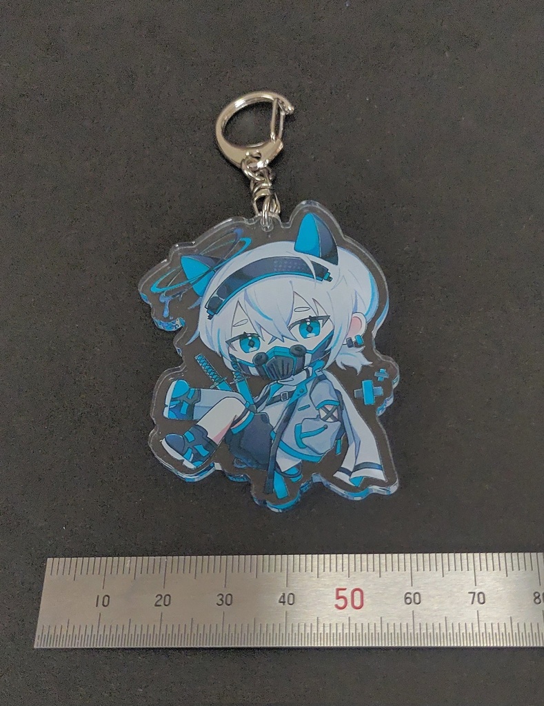 うちの子アクキー