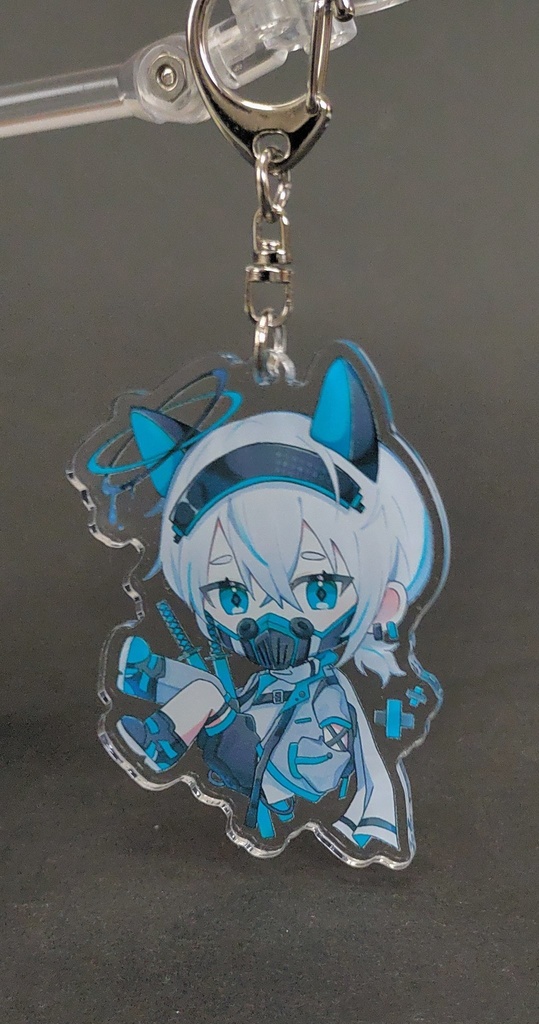 うちの子アクキー