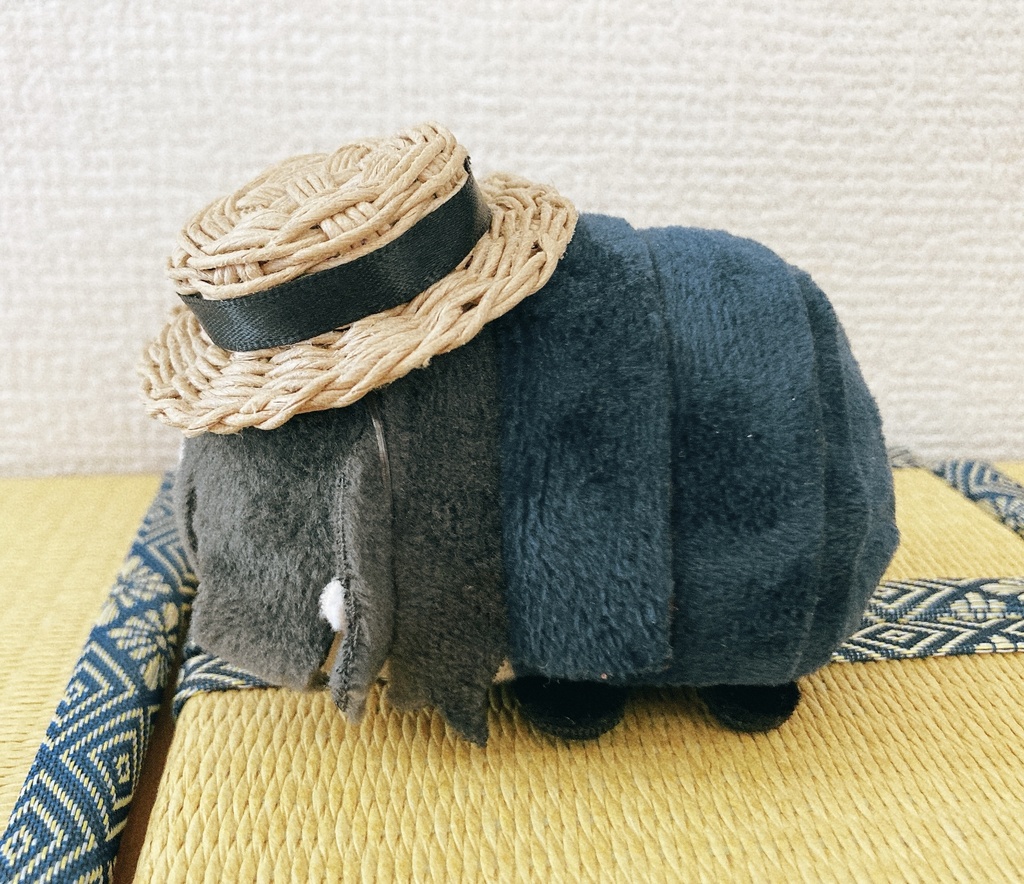 もちマスのカンカン帽