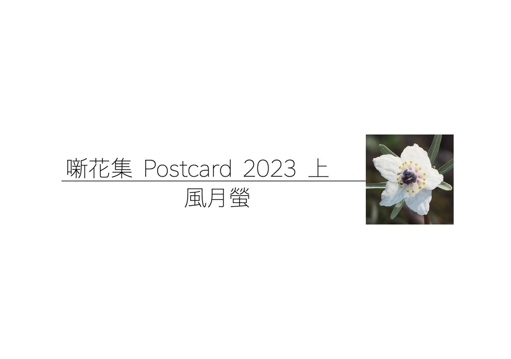 噺花集 Postcard vol.23 上 6枚組