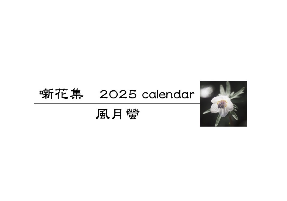 風月螢 「噺花集」2025年カレンダー ポストカード版