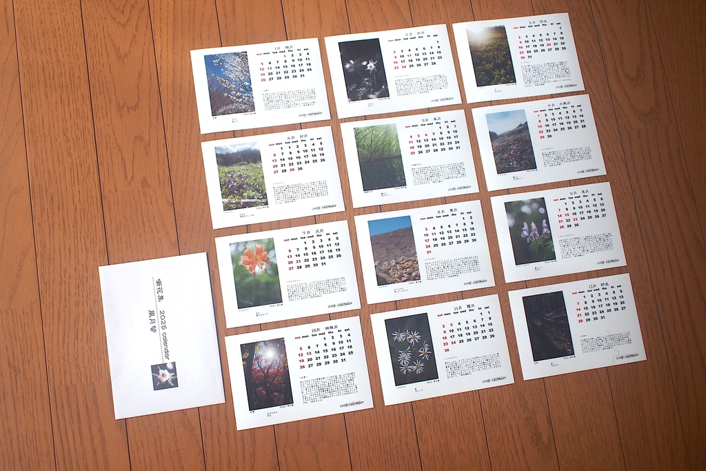 風月螢 「噺花集」2025年カレンダー ポストカード版