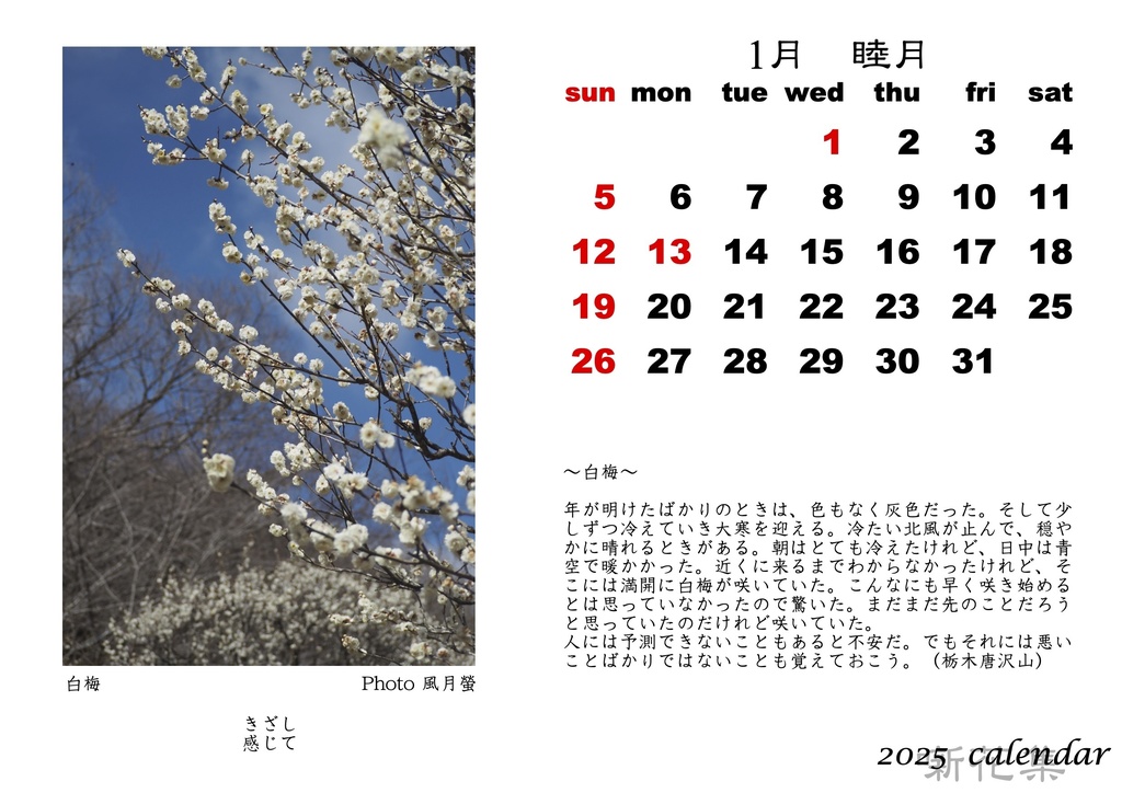 風月螢 「噺花集」2025年カレンダー ポストカード版