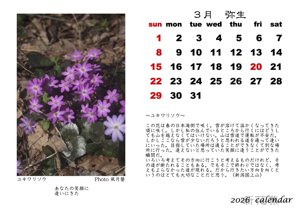 風月螢　「噺花集」2026年カレンダー FreePDF版