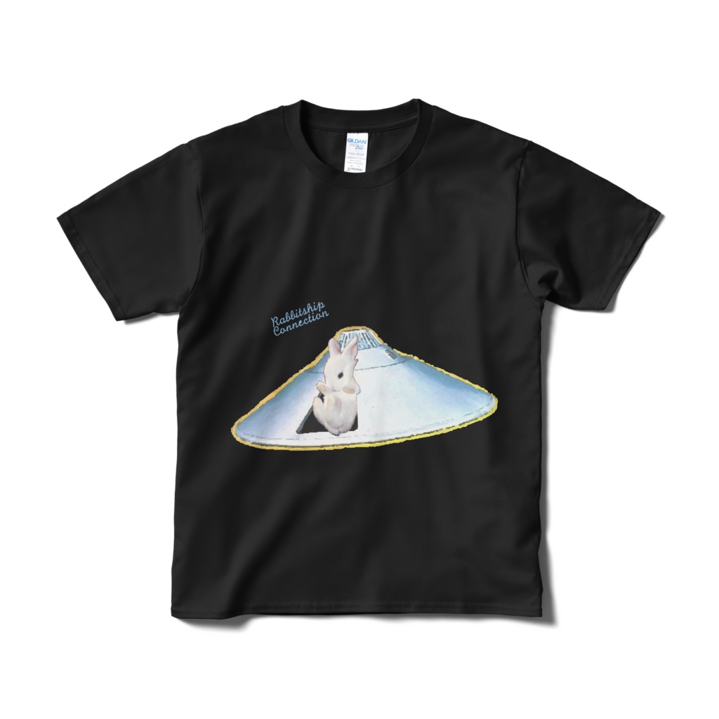 RABBITSHIP CONNECTION