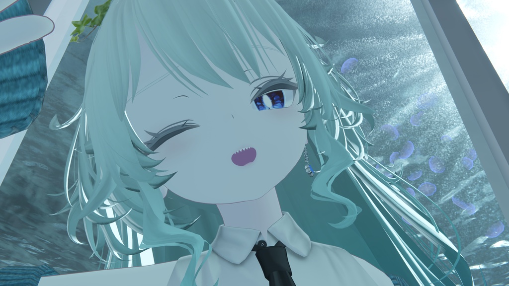 星と月の耳飾り