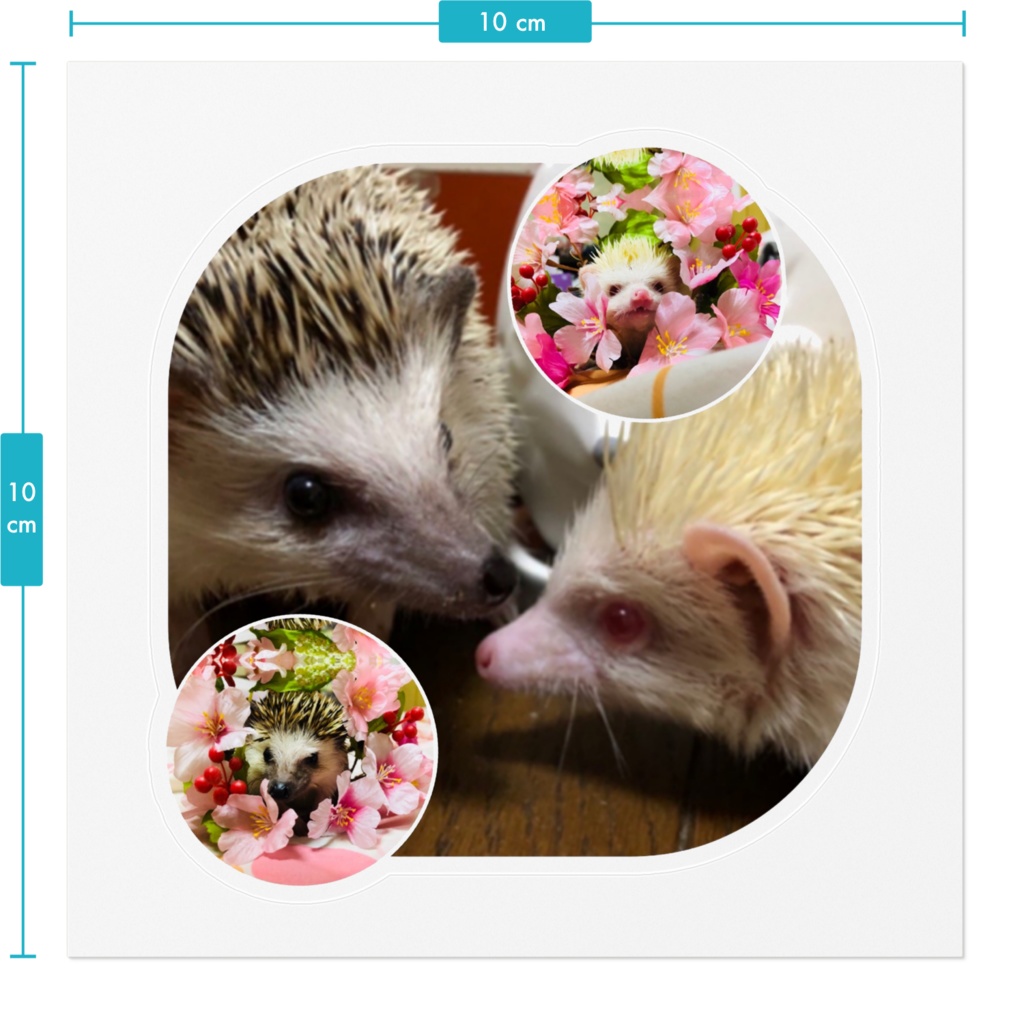 仲良しいちごとばにら