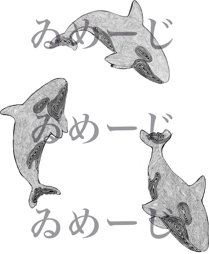 シャチさんてぃーしゃつ