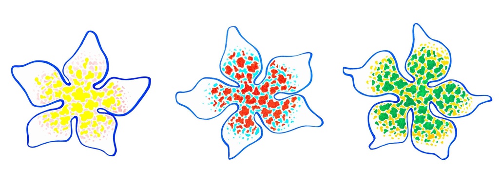 三色の花のセット No.2