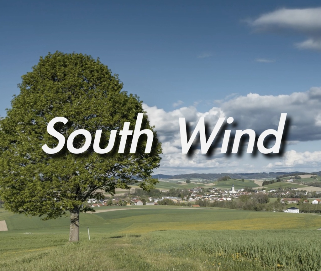 【フリーBGM】vlog 懐かしい　アンビエント　自然　 「South Wind」