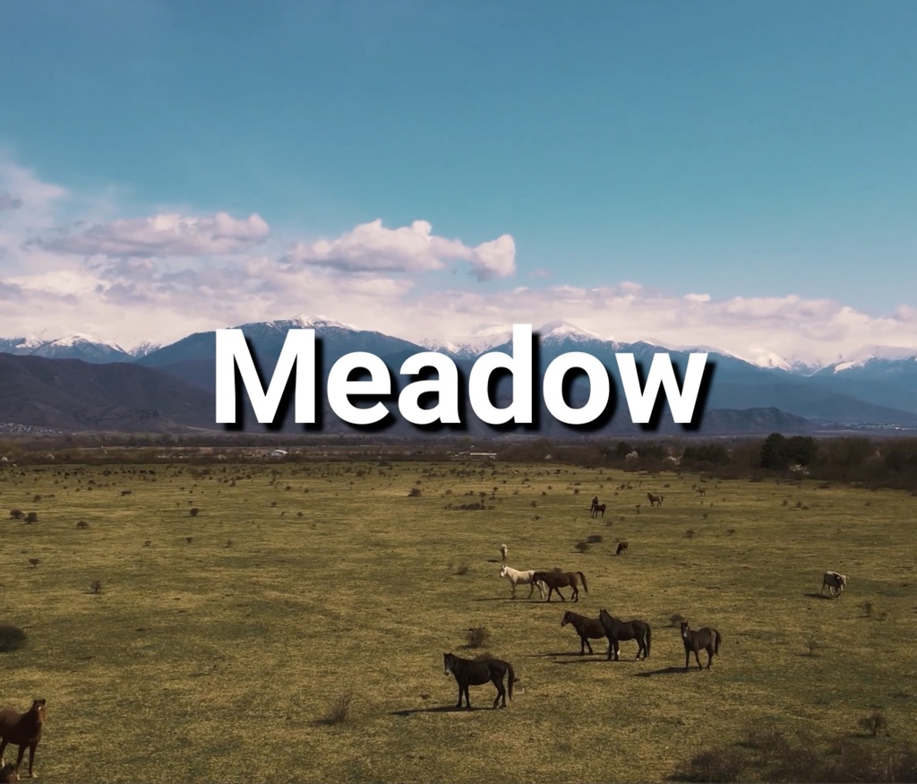 【フリーBGM】自然　草原　日常　壮大　vlog　「Meadow」