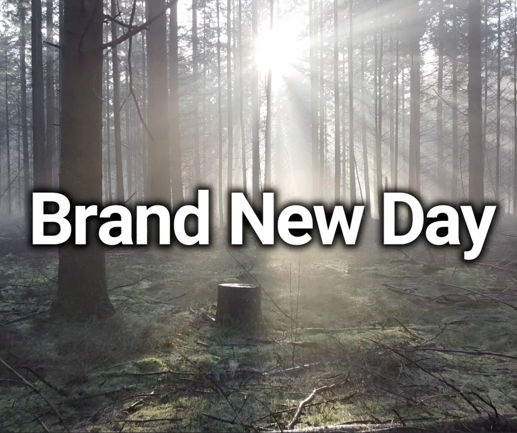 【フリーBGM】日常　自然　朝　ヒーリング　おしゃれ　vlog　「Brand New Day」