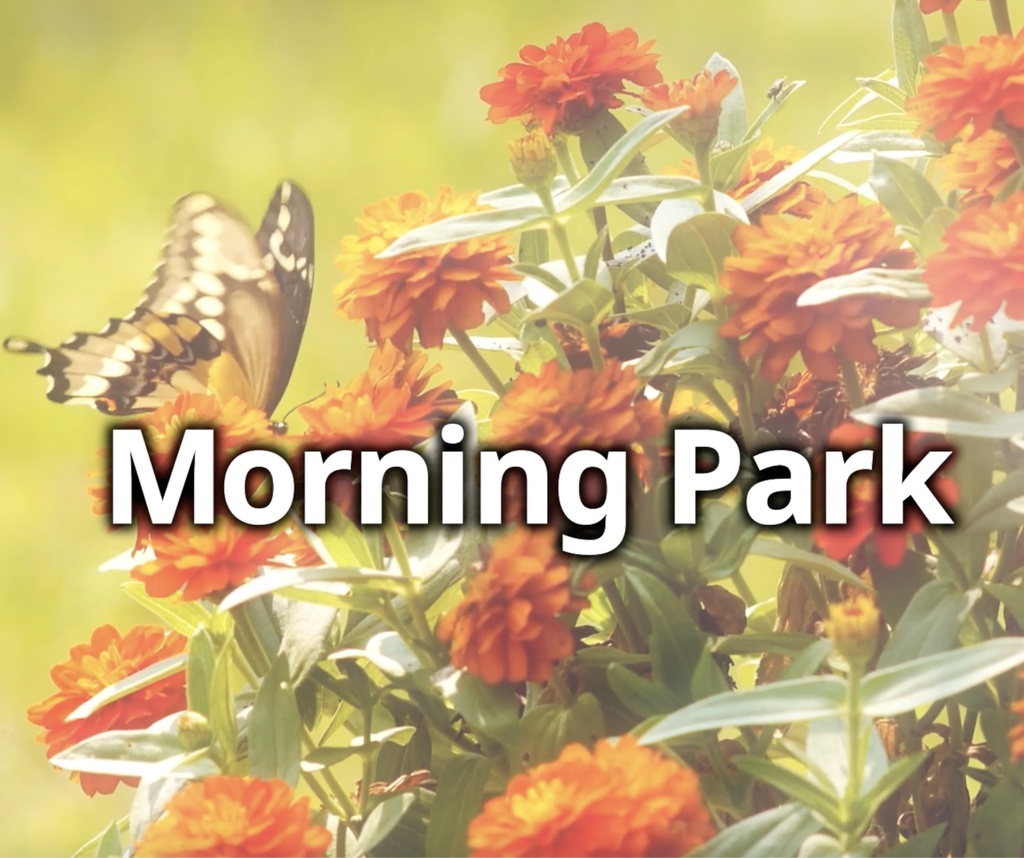 【フリーBGM】日常 自然 朝 vlog 「Morning Park」