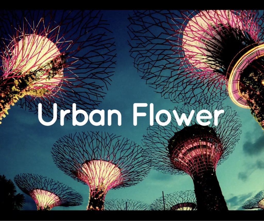 【フリーBGM】都会 エレクトロ かわいい 日常 vlog「Urban Flower」