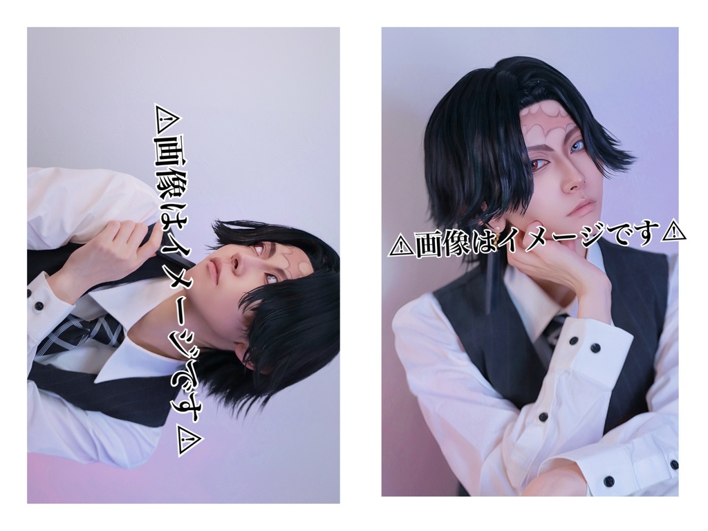 ブロマイド ある🐈‍⬛💊 鶴蝶2枚セット