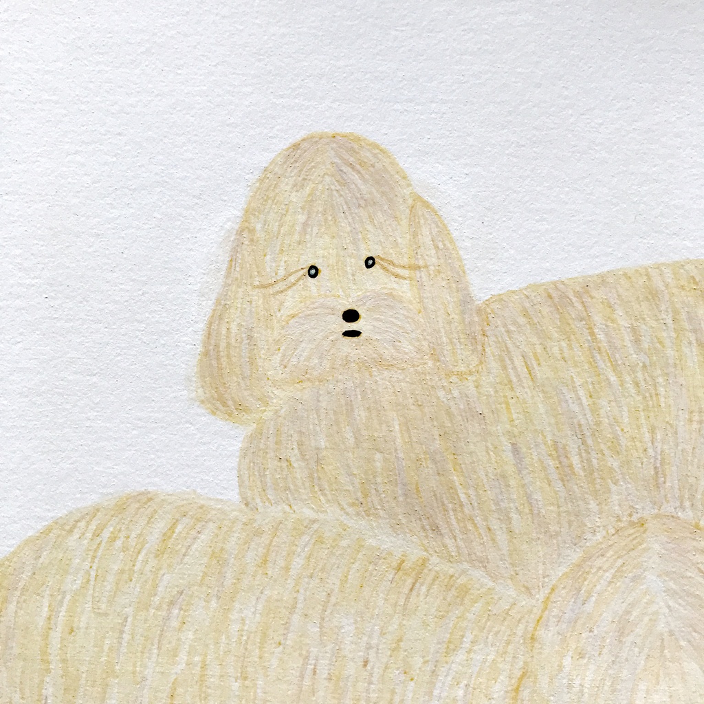 原画『金色の2匹』