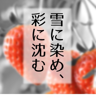 雪に染め、彩に沈む
