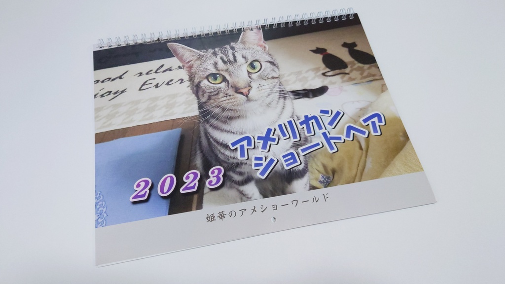 2023年 壁掛け猫カレンダー　姫華のアメショーワールド