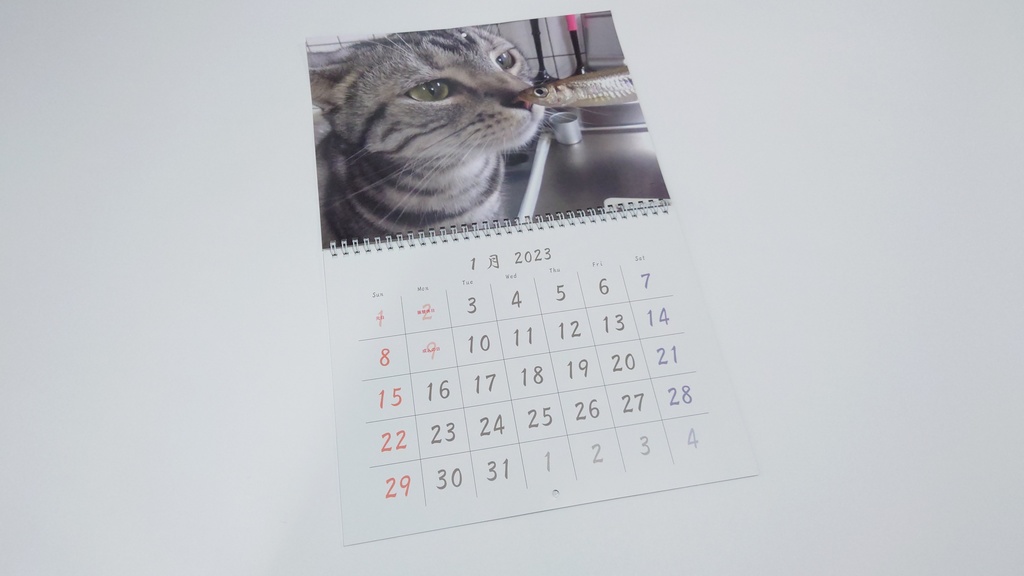 2023年 壁掛け猫カレンダー 姫華のアメショーワールド