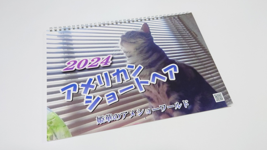 2024年 壁掛け猫カレンダー　姫華のアメショーワールド